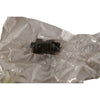 NEW ITT Cannon JMS3102R10SL-3S CONNECTOR SOCKET FLANGED 3POS SOLDER CUP