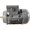 Elmot-Schafer TE Q3E FC 71M2B40-KZ 3-Phase Motor 230/400 2808 RPM