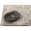 NEW Allen-Bradley PN-184850 O-Ring Kit for Pushbutton & Panel Accessories