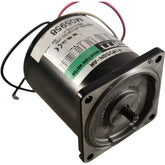 Oriental Motor 4IK25GN?AW Induction Motor, 25?W, 115?VAC