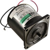Oriental Motor 4IK25GN?AW Induction Motor, 25?W, 115?VAC