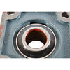 NEW AMI F206 4-Bolt Flange Unit with UC206-19 Insert ? 1 3/16? Bore