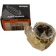 NEW Timken HJ-162416 Needle Roller Bearing 1'' Bore Heavy Duty