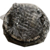 NEW Timken L44610 Tapered Roller Bearing Cup