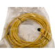 NEW Allen-Bradley 889D-R5AC-5 Ser. B Micro QD Cordset 5-Pin 5m