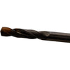 Sandvik 860.1-0794-025A1-GM X1BM CoroDrill 860-GM Carbide Drill 7.94mm