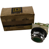 NEW Square D 9001KR1GH5 30mm Green Flush Push Button 600VAC 10A