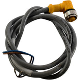 NEW Turck WK 4.2T-6 M12 Eurofast Female 90 Deg Cordset 6m 4-Pin 20AWG 250V 4A