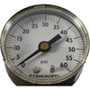 NEW Ashcroft 20W1005H02L 60# 2'' 0-60 PSI Pressure Gauge 1/4'' NPT Lower