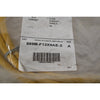 NEW Allen Bradley 889M-F12X9AE-2 Cordset Ser A 12 Pin Female M23 2m 250V 8A