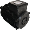NEW TEE Filtermist Q3EFB90L2D42-UL Electric Motor 2.2kW 3HP 2900 RPM 3PH 380V 460V UL