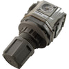 NEW CKD R3000-10-W Air Regulator 3/8 NPT 1.0MPa Max Pressure