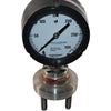 Ashcroft 4.5 Duragauge Plus 0-300 PSI 316SS with PIC 1'' 300# RF Diaphragm Seal