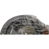NEW CAT Caterpillar F8142-30312 Tapered Roller Bearing Mitsubishi Forklift