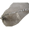 NEW Signode 264319 Detent Roller F24G1 Replacement Part for Strapping Tool
