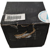 NEW Siemens C29 03020626 S01 Star Motor Assembly SMT Placement Spare Part