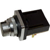 Maruyasu Dengyo CP-1B Push Button Switch 41-10279 10A 600V Black