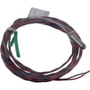 NEW ACI SEN-0970 Temperature Thermistor Bullet Probe 10K Type III 6FT CL2P