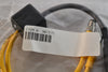 NEW Banner Engineering 901515 M12 Female to 5-Pin M12 Male Machine Vision Cable
