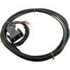 NEW Phoenix Contact CABLE-D-Sub to Flying Leads