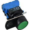 NEW Idec HW1B-M1F10-G Pushbutton Switch Green Flush Momentary 1NO HW Series