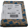 NEW Allen Bradley 897H-G231 Series B Galvanic Isolator 2 Channel 24VDC Relay