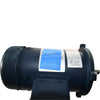 NEW Leeson 098006.00 C42D28FK1C Permanent Magnet DC Motor 1/2HP 90V 2500RPM