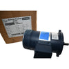 NEW Leeson 098006.00 C42D28FK1C Permanent Magnet DC Motor 1/2HP 90V 2500RPM