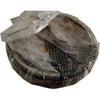 NEW Timken 29620 Tapered Roller Bearing Single Cup Outer Race 29600 Series