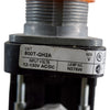 Allen-Bradley 800T-QH2A Pilot Light 30.5mm Amber LED 12-130V AC/DC Type 4 13
