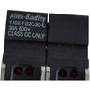 Allen-Bradley 1492-FB2C30-L DIN Rail Fuse Block 2-Pole 30 Amp 600VAC Class CC Series B
