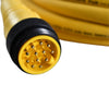 NEW Lumberg Automation RS 120M-676/30F Mini 1-1/8'' Single-Ended Cordset Male 12P