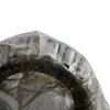 NEW NTN 4T-LM603049V3 Tapered Roller Bearing Cone 1.7812 Inch Bore 4T