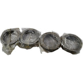 NEW Lot of 4 NSK 51110 Single Direction Thrust Ball Bearing 50x70x14mm