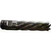 NEW Union Butterfield CAE2279A 2 Inch 6 Flute Left Hand HSS End Mill