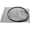 NEW Lot of 2 Groninger 18991/30 3023797/30 O-Ring Genentech 6101980000