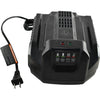 NEW EGO POWER+ CH2100 56V Lithium Ion Standard Battery Charger 120V 210W