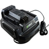 NEW EGO POWER+ CH2100 56V Lithium Ion Standard Battery Charger 120V 210W