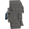 NEW Allen Bradley 1489-M3C060 Ser D Circuit Breaker 3 Pole 6A 480Y/277V DIN Rail