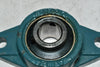 AMI FT204 2 Bolt Pillow Block Bearing UC204-12 Insert Bearing