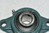 NEW AMI FT204 2 Bolt Pillow Block Bearing UC204-12 Insert Bearing