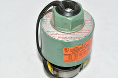 NEW Asco 8262C39 Solenoid Valve 24VDC 9.7w 1/4''