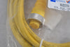 NEW RAD00364 CORD SET - 5 POLE FEMALE STRAIGHT 4M 5.5A YELLOW PVC