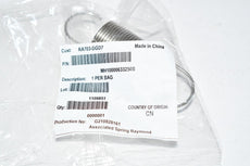 NEW Raymond RA703-DGD7 MH10000633250S Extension Spring With Hooks Ends - 1.0000 in OD, 3.2500 in Free Length
