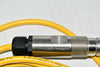 NEW Turck RSM 31-2M U2077-0 9728-00-0300/153236 Probe Sensor