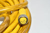 Woodhead Brad Harrison E31793 600V ST00W-A Cable