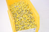 Approx 500 NEW 12-10 Ring NYS #8 Nylon Ring Terminals 105C MAX 300V P/N: TRNS-20-8-2