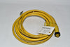 Brad Harrison E31793 Cordset Cable Assy