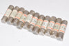 Lot of 11 NEW Reliance MEN-15 Time Delay Fuses 250V or Less