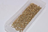 Lot of NEW NAS1352-02-5P National Aeronautical Standard Socket Head Screws Fastener Length: 5/16''